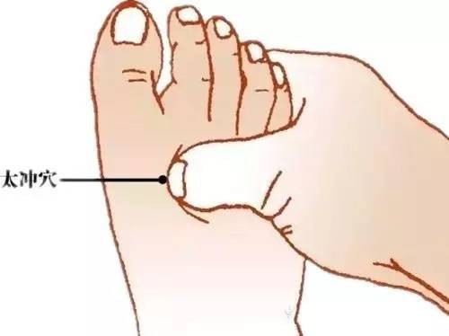 三伏贴穴位-太冲穴 三伏贴穴位-太冲穴