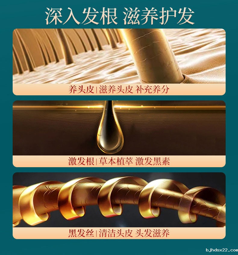 何首乌灵芝草本洗发液深入发根滋养护发-世预赛直播入口在线