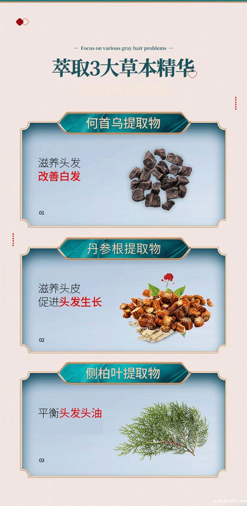 何首乌灵芝草本洗发液萃取3大草本精华-世预赛直播入口在线