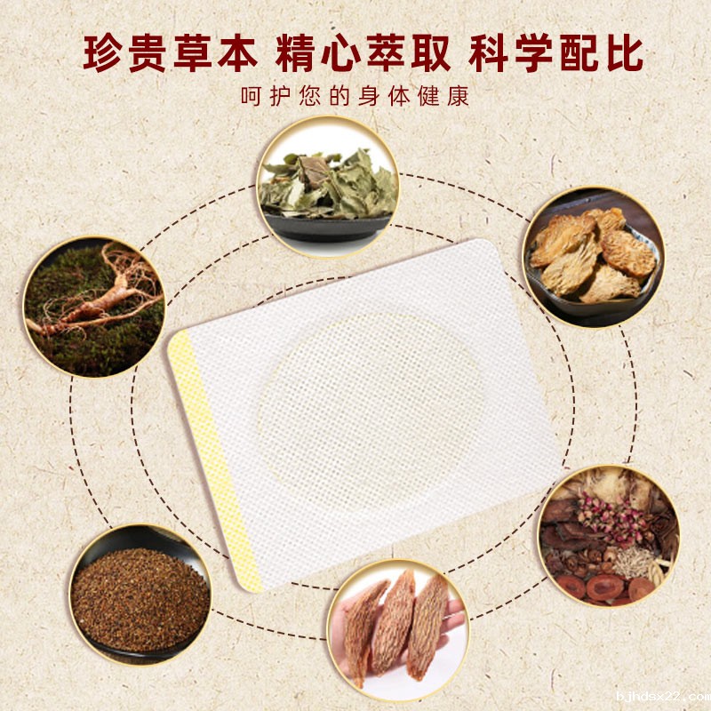 益肾贴成分 益肾贴成分